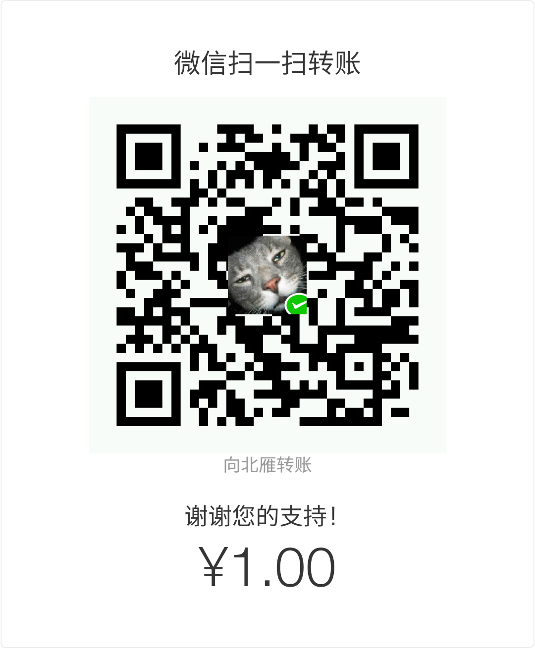 Caiyong Wang WeChat Pay